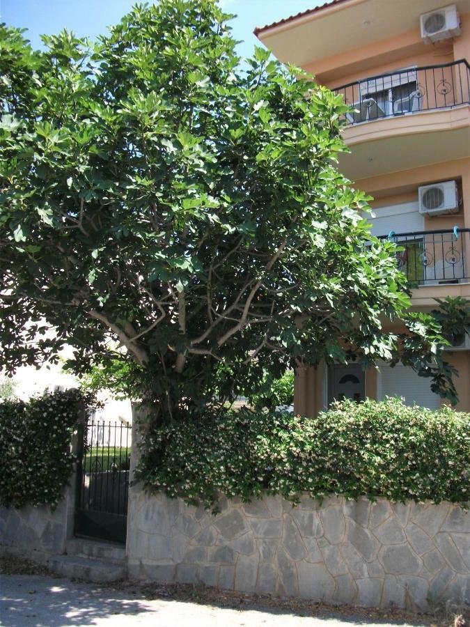 Fani House Lägenhet Kallithea  Exteriör bild